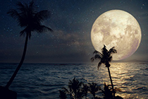 Influências das fases da Lua